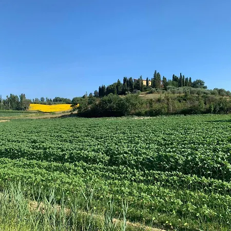 The Sweetnest * Cetona