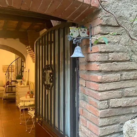 The Sweetnest Cetona