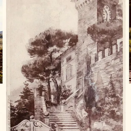 The Sweetnest Cetona